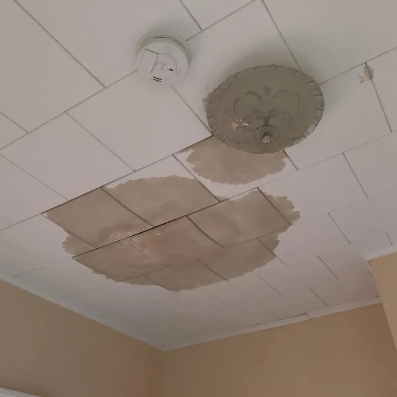 Ceiling Water Damage Repair in Washington County, VA