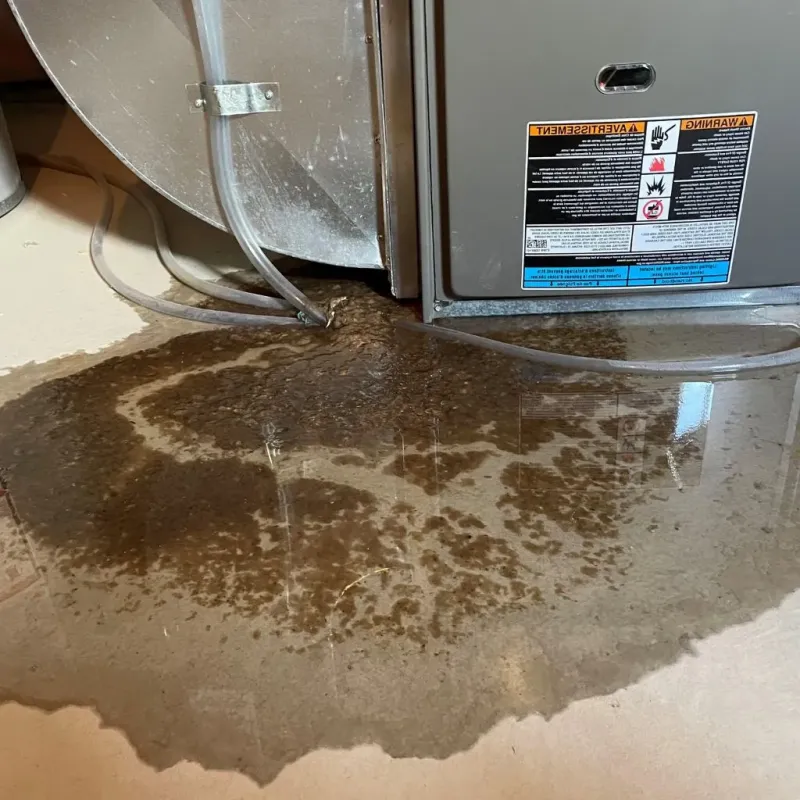 Pipe Burst and Leak Restoration in Washington County, VA