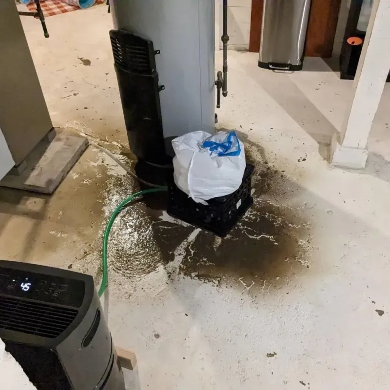 Sewage Backup Cleanup Service in Washington County, VA